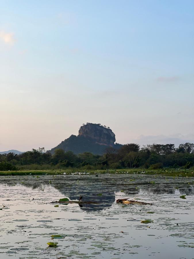 Gold Crown Residence Dambulla Bagian luar foto